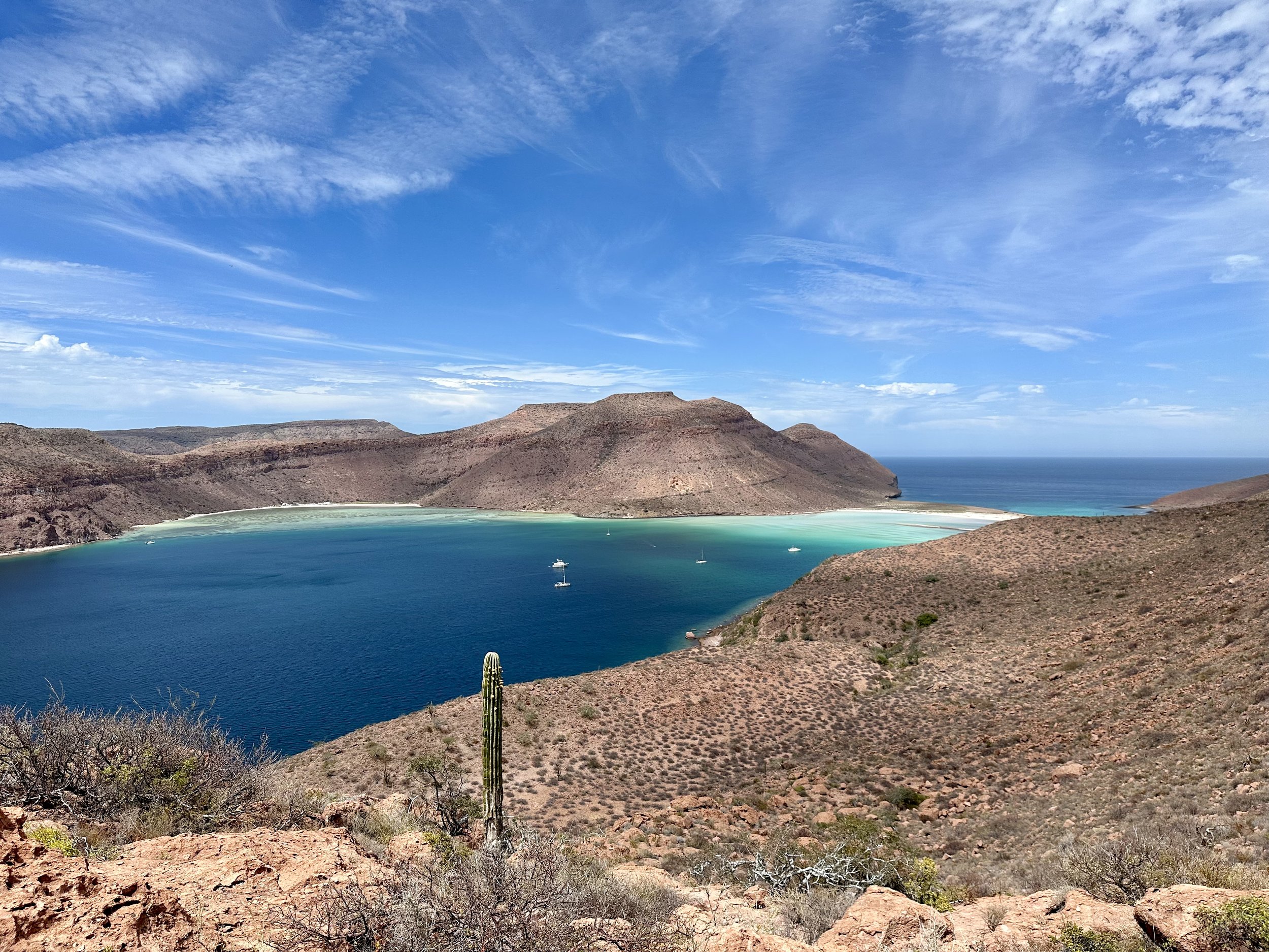 A few weeks on the Baja Sea