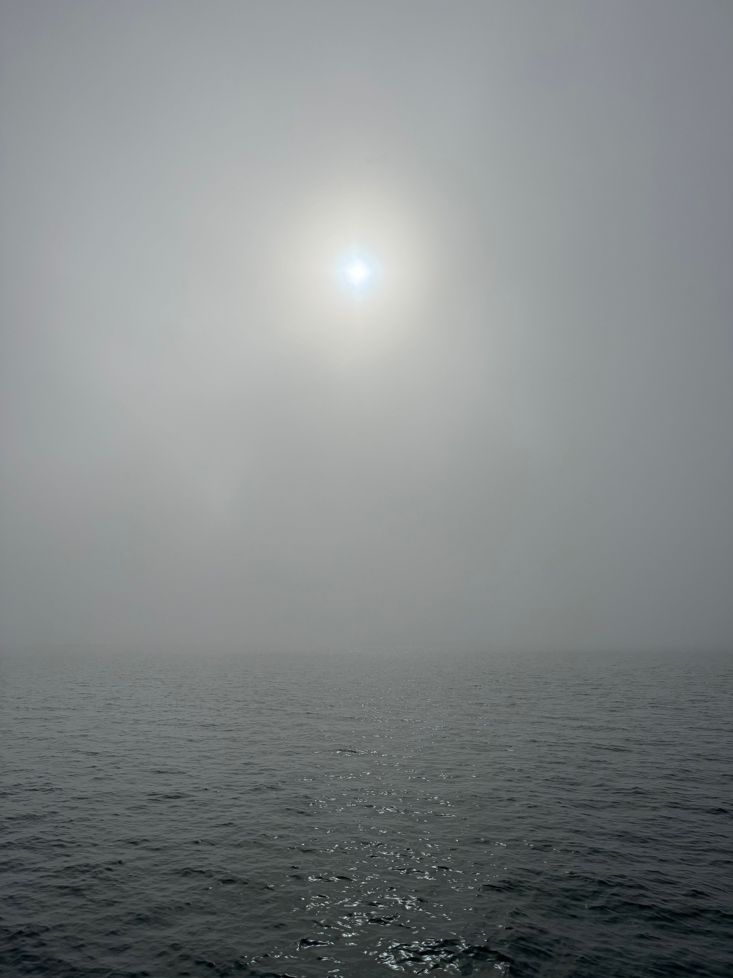 “The Sea… holds one in its net of wonder forever.”