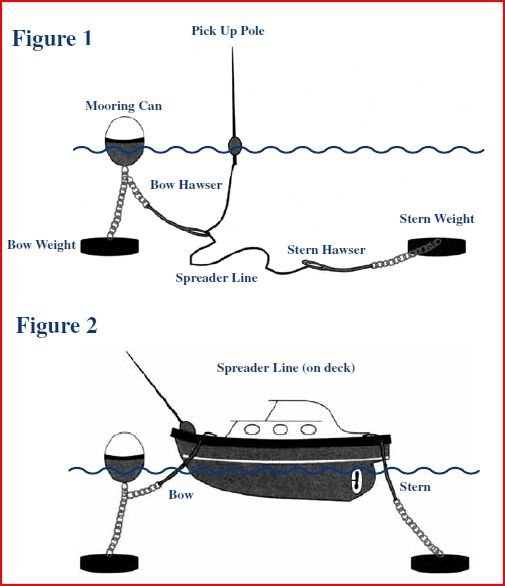 image courtesy:  Pacific Coast - Baja Bound: Relaxation on Catalina Island (llcruise2.blogspot.com)