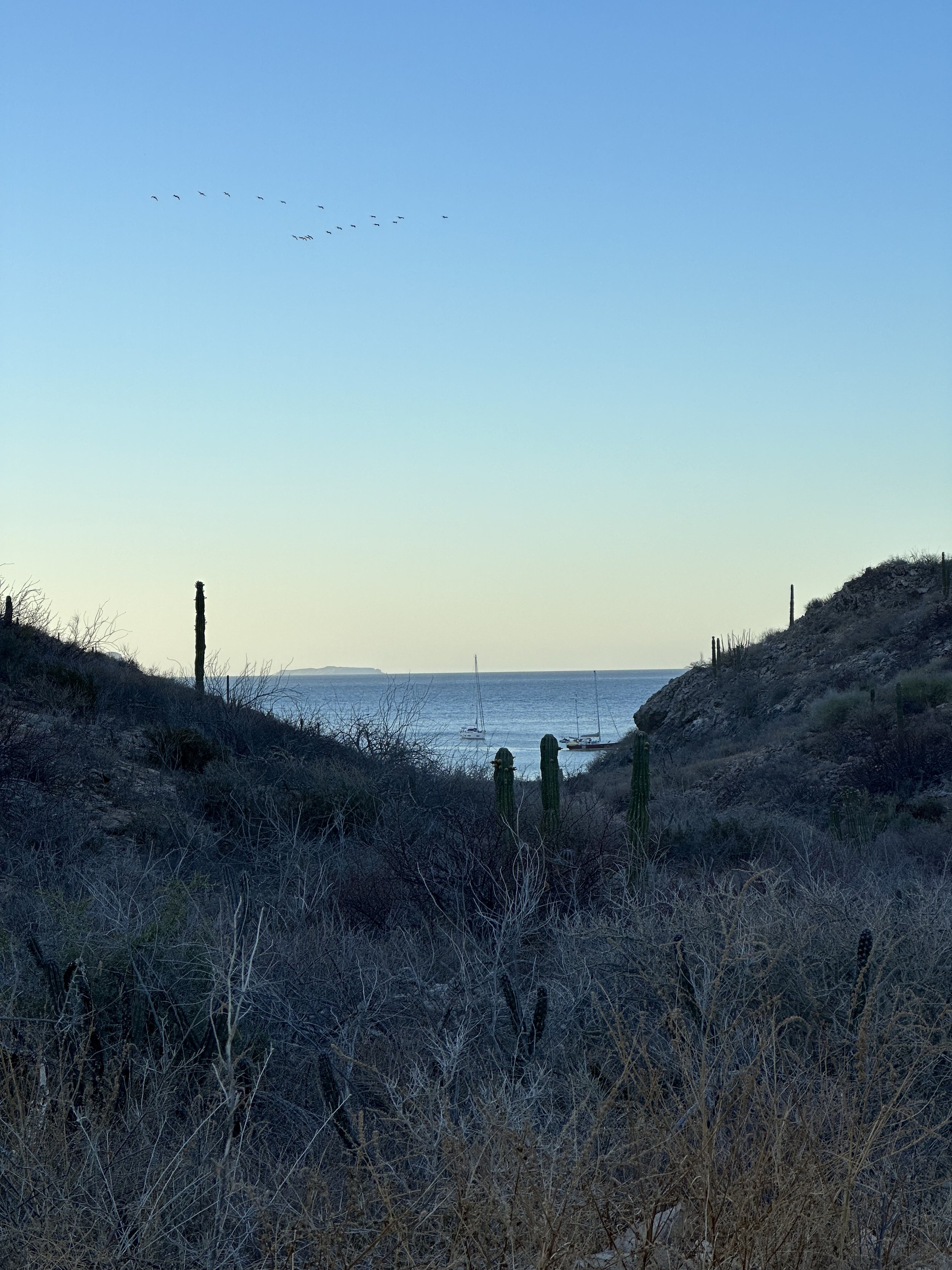 La Ramada, Guidebooks, and Anchoring