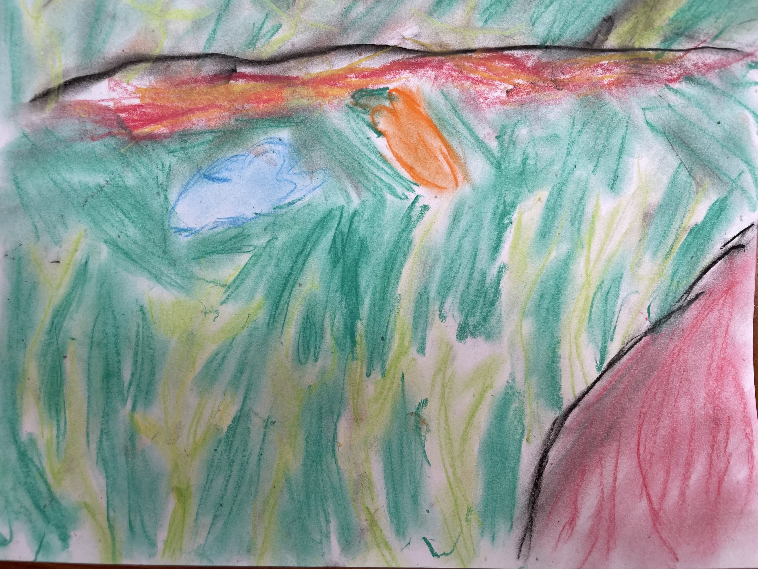 Kelp Forest by Holden