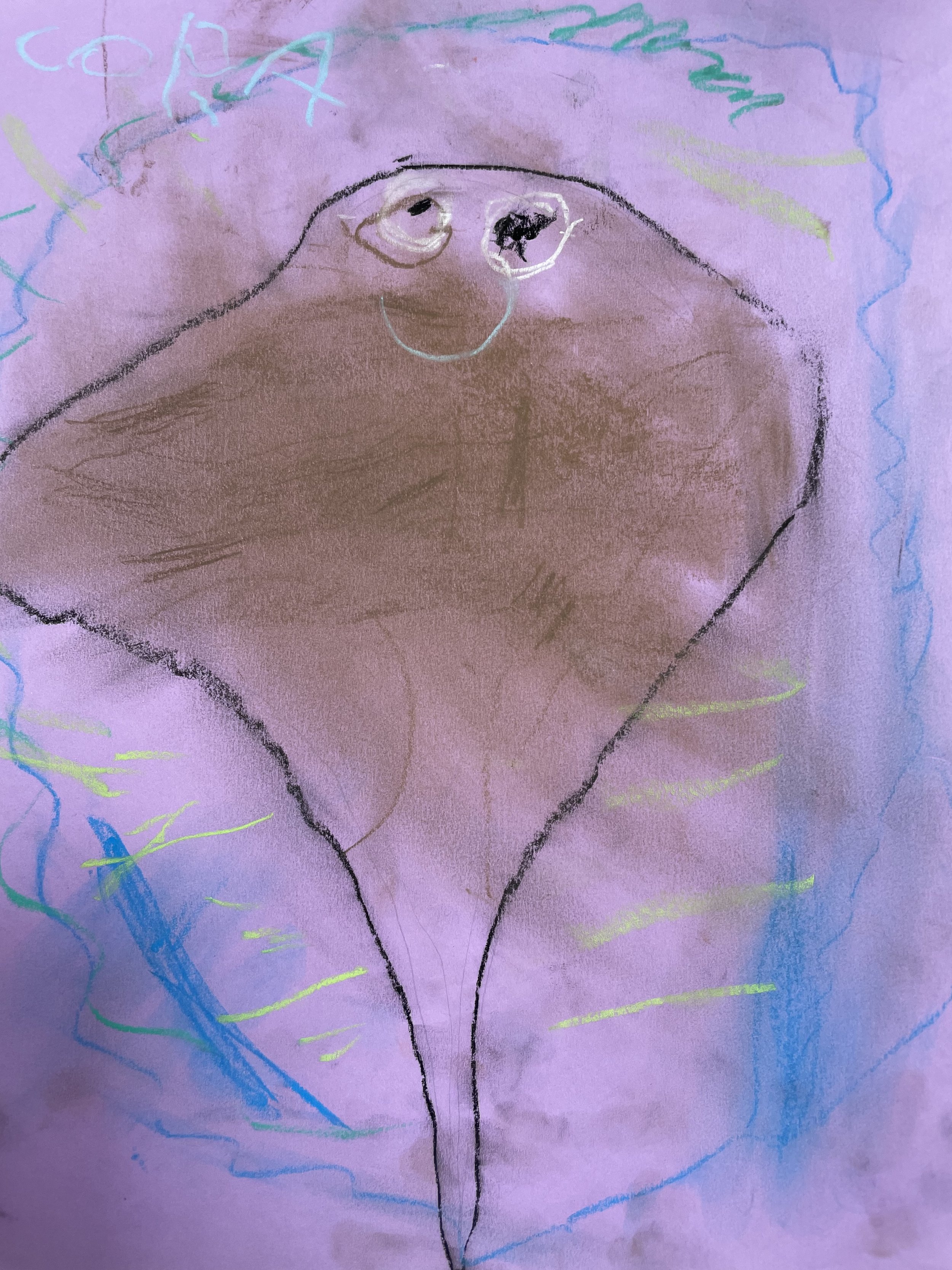 Snorkeling in the Channel Islands